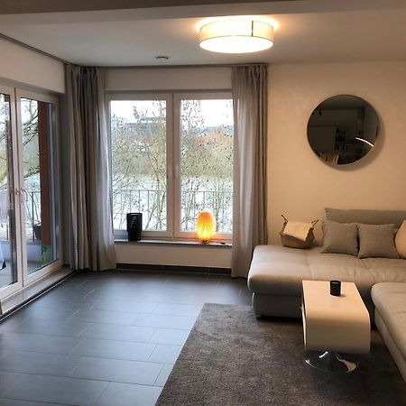Schickes Apartment Mit Moselblick トリーア エクステリア 写真