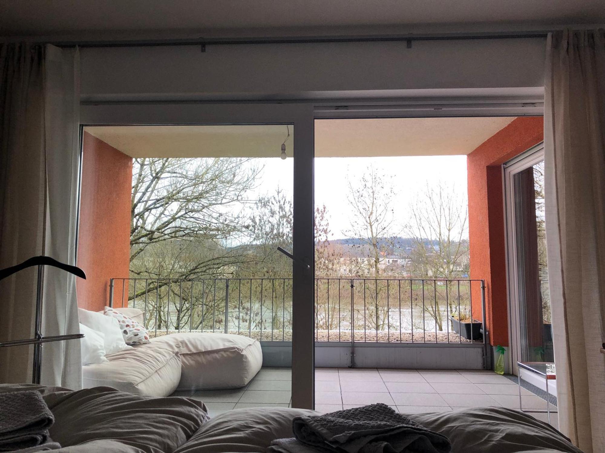 Schickes Apartment Mit Moselblick トリーア エクステリア 写真