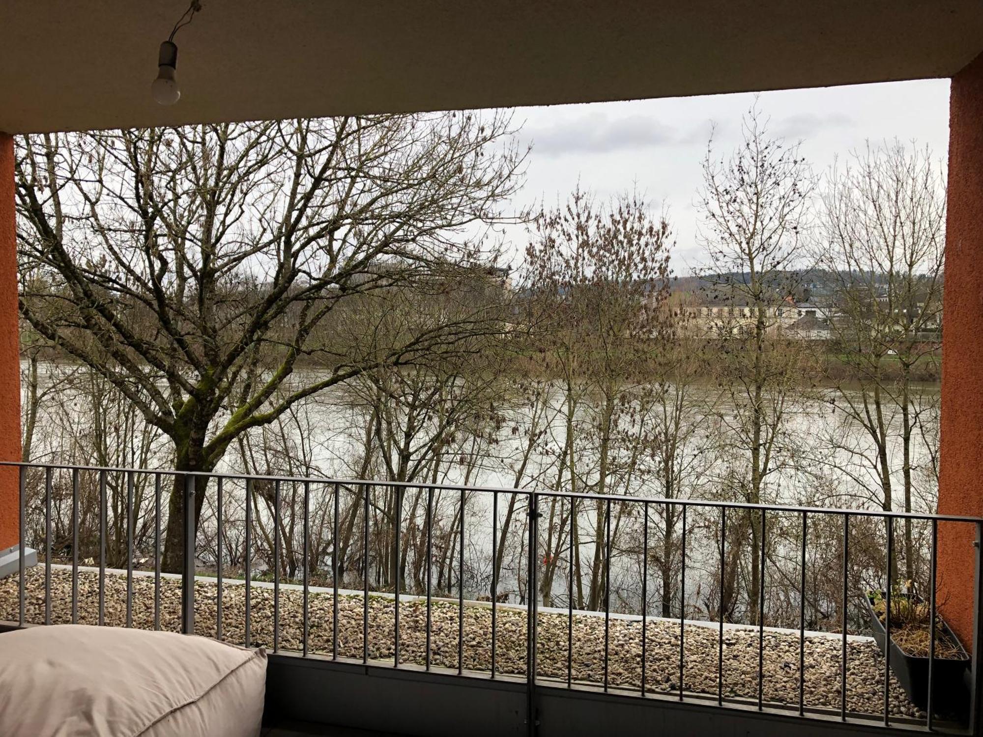 Schickes Apartment Mit Moselblick トリーア エクステリア 写真